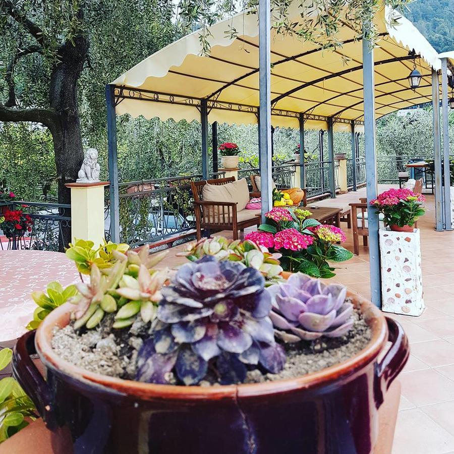 Agriturismo Al Nido Degli Aironi San Remo Kültér fotó